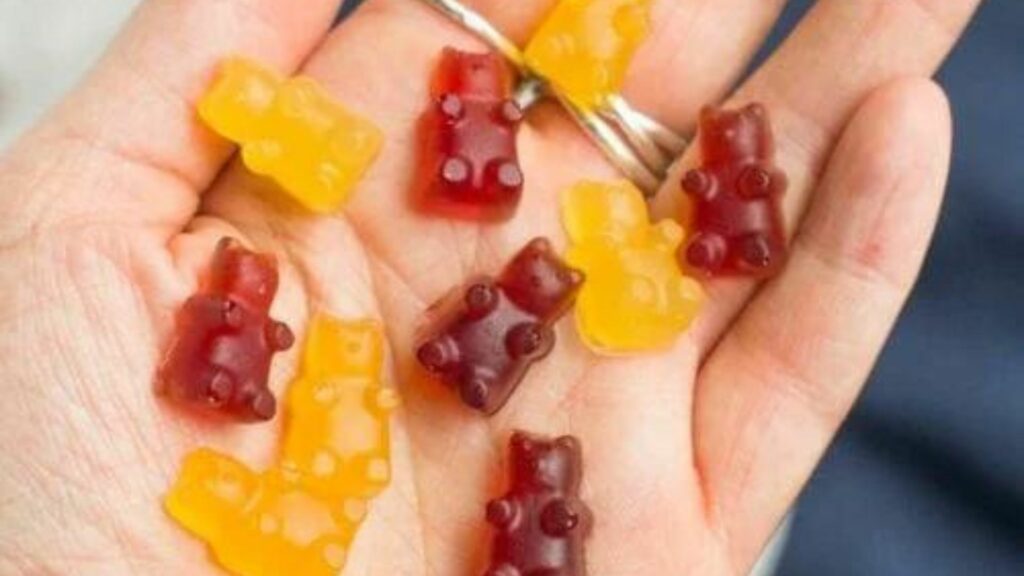 a picture of a person holding bear gummies 